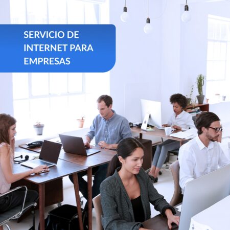 Internet para empresas Netline